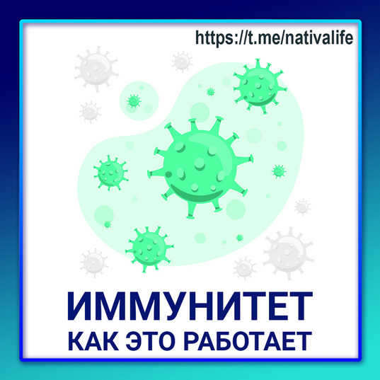 [Виктория Самира] [nativalife] Иммунитет_ как это _0.png